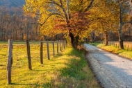 Autumn;Blue;Brown;Cades-Cove;Color;Couchville-Cedar-Glade-State-Natural-Area;Fal