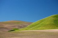 Peaceful;California;Landscape;Pastoral