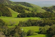 Hillock;California;Mountainous;Pastoral;Hillside;Hilltop;Landscape;Peaceful;tree