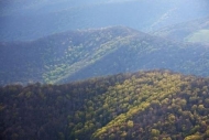 Mountains;North-Carolina;Hillside;Sunlight;Hilltop;Trees;Woods;Timber;Mountain-T