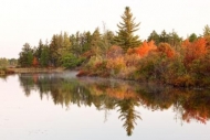 Michigan;Foliage;Autumn;Upper-Peninsular;Great-Lakes;Lake;Fall;trees;Shore;tree;