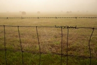 Farmland;foggy;Agricultural;Hay-Bale;dewy;droplet;drops;Fields;fence;drop;fog;de