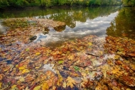 Autumn;Blue;Brown;Cloud;Cloud-Formation;Clouds;Cloudy;Creek;Duck-River;Fall;Fall
