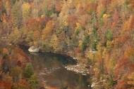 Trees;flowing;Mountainside;Boulder;Boulders;Timberland;Cumberland-Plateau;Big-So