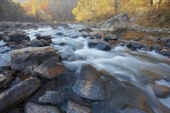 Streaming;Rock;Rapids;Fall;Pouring;Green;flowing;Chute;Gold;Alabama;Brown;Boulde