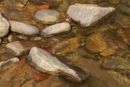 Rock;Autumn;Orange;river;Fall;Stone;Gray;Rocks;leaves;Creek;Stones;Brown;water;T