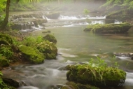 Streaming;foggy;Rocks;Water;misty;Waterfall;Cascade;Brown;Forest;Stones;Green;mo