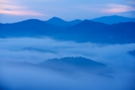 Mountains;Great-Smoky-Mountains-National-Park;Mountain;Mountain-Top;Tree;Forest;