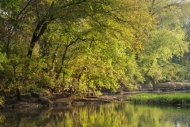 Rock;reflection;reflections;Green;Duck-River;Forest;Sun-up;tree-limbs;Sunlight;t