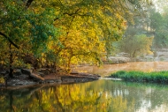 Autumn;Branches;Calm;Columbia;Duck-River;Fall;Flow;Fog;Forest;Forested;Habitat;H