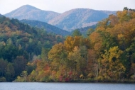 Trees;Bridging-the-Smokies;Hill;Green;Summit;TNC;Timberland;Autumn;Mountainous;F