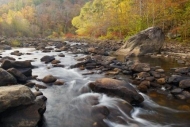 Gray;Stones;river;Pouring;flow;Pebbles;flowing;Stone;Gold;Autumn;Orange;Cascadin