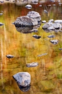 reflections;flowing;Tan;Yellow;Rock;Fall;Stone;Rocks;Little-River-Canyon;Gold;Br