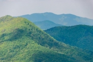 Blue;Bluff;Calm;Forest;Forested;Great-Smoky-Mountains;Healing;Health-care;Health
