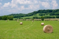 Pasture;Agricultural;Forest;Clouds;Green;Blue;Cloud-Formation;Hillside;Field;Tre