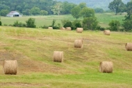 Agriculture;Farmland;Agricultural;Pasture;Farming;Hay;Hay-Bale;Field;Fields;Barn
