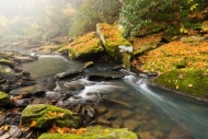 Boulder;Boulders;Brown;Cascade;Chute;Fallautumn;Forest;Forested;Gold;Green;Leave