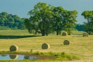 Agricultural;Bale;Blue;Farm;Farming;Fence;Field;Fields;Green;Hay;Healing;Health-