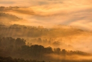Forest;God-Rays;Gold;McCloud-Mountain;Mist;Obscured;Oneness;Sun-up;Sunbeam;Sunli