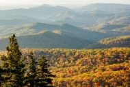 Autumn;Blue-Ridge-Parkway;Bluff;Brown;Calm;Fall;Forest;Forested;Gold;Healing;Hea