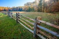 Blue;Blue-Ridge-Parkway;Brown;Fallen;Fallen-Leaves;Fence;Field;Forest;Forested;G