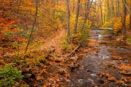 Autumn;Blue-Ridge-Parkway;Branches;Brown;Calm;Cascade;Chute;Concepts;Cool-Colors