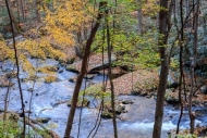 Autumn;Blue;Boulder;Boulders;Branch;Branches;Brook;Brown;Cascade;Cascading;Chute