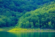 Calm;Caney-Fork-River;Center-Hill-Lake;Forest;Forested;Gold;Healing;Health-care;