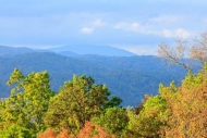 Blue;Brown;Gold;Great-Smoky-Mountains;Great-Smoky-Mountains-National-Park;Green;