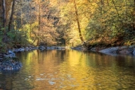 Autumn;Blue;Boulder;Boulders;Brown;Creek;Fall;Flow;Forest;Gold;Great-Smoky-Mount