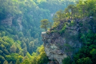 Blue;Bluff;Boulder;Boulders;Branches;Calm;Fall-Creek-Falls-State-Resort-Park;For
