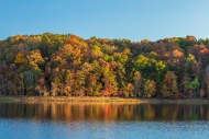 Autumn;Blue;Branches;Brown;Calm;Fall;Fall-Creek-Falls-State-Resort-Park;Forest;F