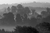 Beginning;Black-and-White;Fog;Hills;Oneness;Rolling-Hills;Sunrise;Tennessee;Tree