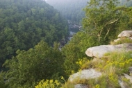 Forest;Green;Ledge;Gray;Blue;Beige;Bluff;Trees;Scenic-View;Rock-Formations;Brown