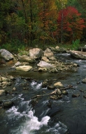 Fall-Scenes;Forest;Leaf;Leaves;Nature;Trees;Autumn;Rocks;Rock;Boulder;Boulders;R