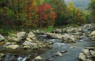 Fall-Scenes;Forest;Leaf;Leaves;Nature;Trees;Autumn;Rocks;Rock;Boulder;Boulders;R