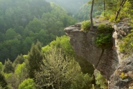 Bark;Boulder;Branch;Branches;brook;Bush;Cliff;creek;Flowing;Geological;Geology;G