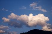 Bird;bird;Cloud;Cloud-Formation;Clouds;Contour;flyimg;Flying;Form;Mountain;Mount