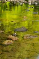 Boulder;Brook;Creek;Cumberland-Mountains;Geological;Geology;Green;Reflection;Ref