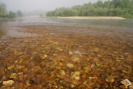 Break-of-Day;Brook;Creek;Current-River;Dawn;Daybreak;First-Light;Fog;Foggy;Haze;