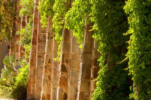 Botanical;Boulder;Geological;Geology;Herb;Modern;Rock;Rock formations;Rocks;Shrub;Stone;Stones;TX;Texas;Uniform;botanicals;botany;concepts & emotions;flora;greenery;herbage;immovable;immoveable;linear;plant;plants;strength;striation;vegetation