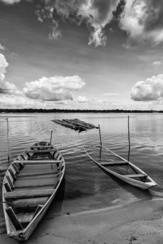 Amazon River Basin   