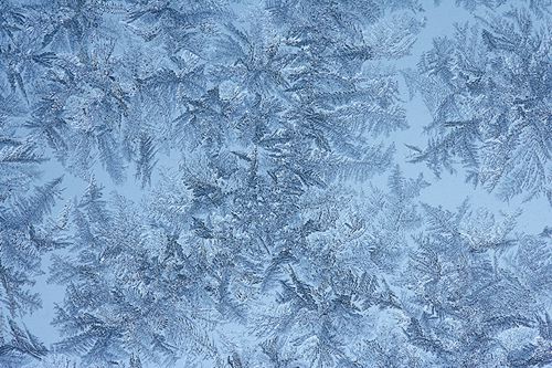 Textures;Shapes;Patterns;Abstractions;Abstract;Crisp;Winter;Cold;Frozen;Frosty;Frost;Icy;Ice