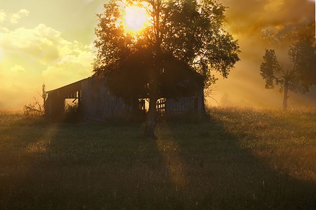 Agriculture;Architecture;Barn;Farm;Farming;Ranch;Plantation;Estate;Family Farm;Garden;Cultivate;Sunlight;Sun;Beams;Sunbeam;Rays;Light;Luminance;Illuminate;Sunrise;Oneness;Fog;Mist;Damp;Misty;Foggy;Obscured