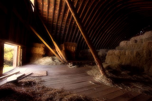 Agriculture;Architecture;Barn;Farm;Farming;Ranch;Plantation;Estate;Family Farm;Garden;Cultivate