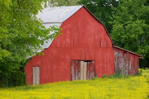 Agricultural;Field;Green;Barn;Agriculture;Pasture;Farm;Yellow;Farming