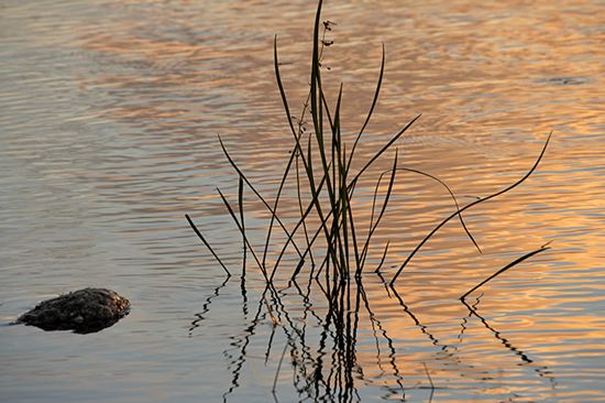 Reflections;Reflection;Cloud Formation;Weather;Sky;Clouds;Cloud;Textures;Shapes;Patterns;Abstractions;Abstract;Lake;Water;Pond;Pool;Reservoir;Lagoon