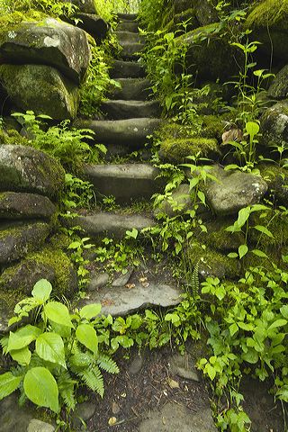 Rocks;Rock;Boulder;Boulders;Rock Formations;Stones;Pebble;Pebbles;Stone;Plants;Foliage;Vegetation;Botanicals;Botany;Herbaceous;Herb;Greenery;Flora;Herbage;Journey;Mystery