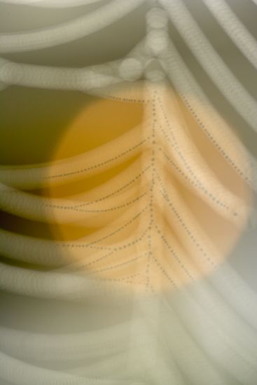Spider;Web;Spider Web;Arachnid;Dew;Sunlight;Sun;Beams;Sunbeam;Rays;Light;Luminance;Illuminate