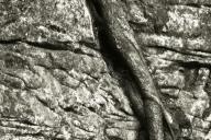 Textures;Shapes;Patterns;Abstractions;Abstract;Striation;Stone;Rock;Boulder;Geol